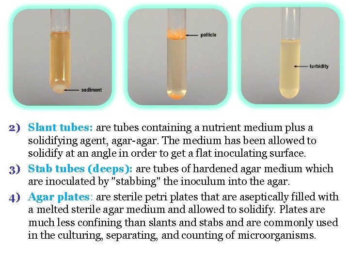 2) Slant tubes: are tubes containing a nutrient medium plus a solidifying agent, agar-agar.