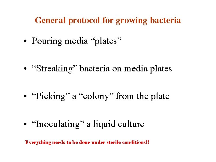 General protocol for growing bacteria • Pouring media “plates” • “Streaking” bacteria on media