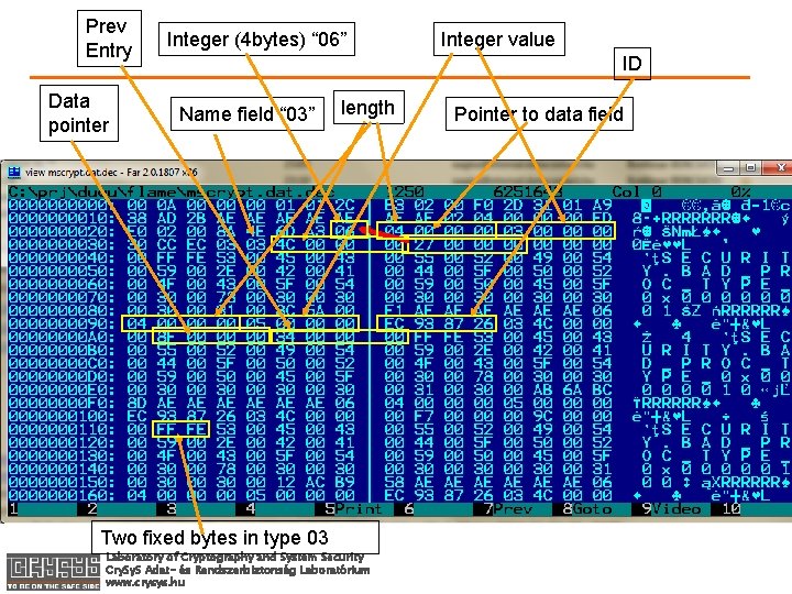Prev Entry Data pointer Integer (4 bytes) “ 06” Integer value ID Name field