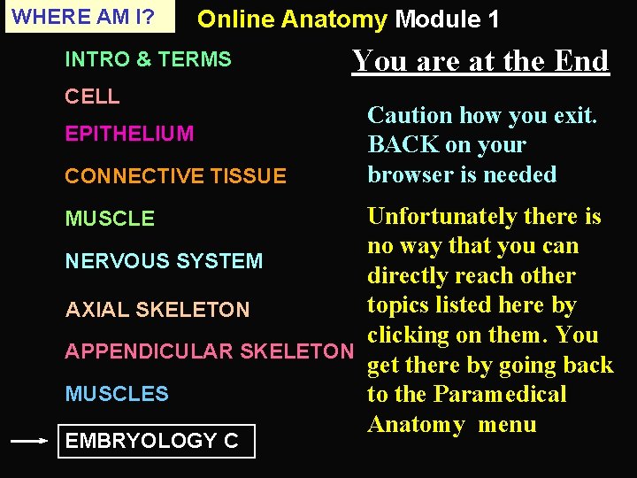 WHERE AM I? Online Anatomy Module 1 INTRO & TERMS CELL EPITHELIUM CONNECTIVE TISSUE