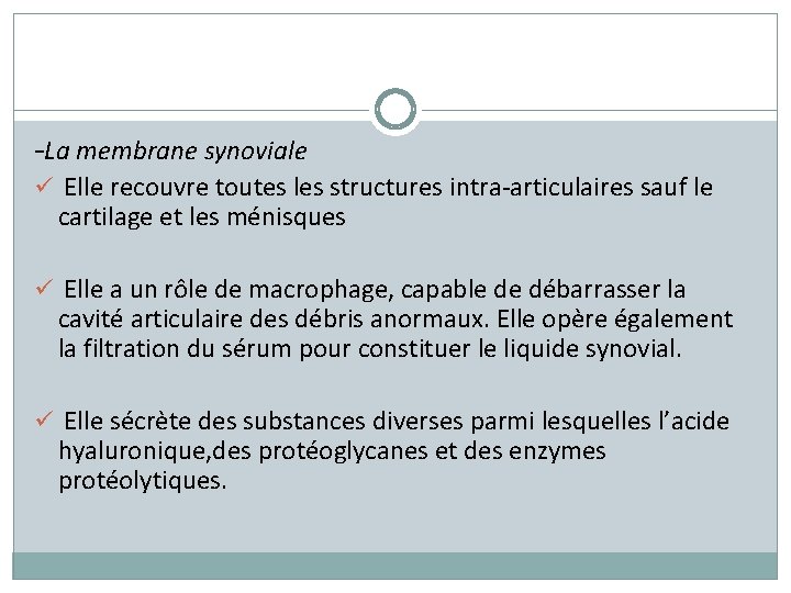 -La membrane synoviale ü Elle recouvre toutes les structures intra-articulaires sauf le cartilage et