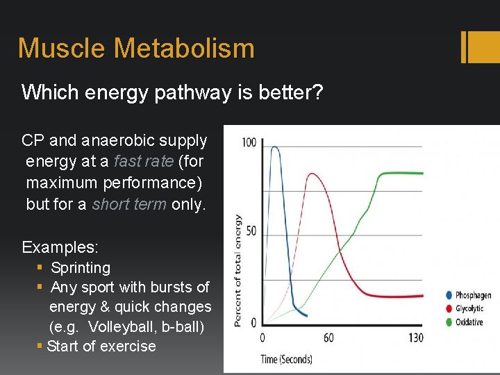 Muscle Metabolism Which energy pathway is better? CP and anaerobic supply energy at a