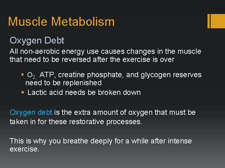 Muscle Metabolism Oxygen Debt All non-aerobic energy use causes changes in the muscle that