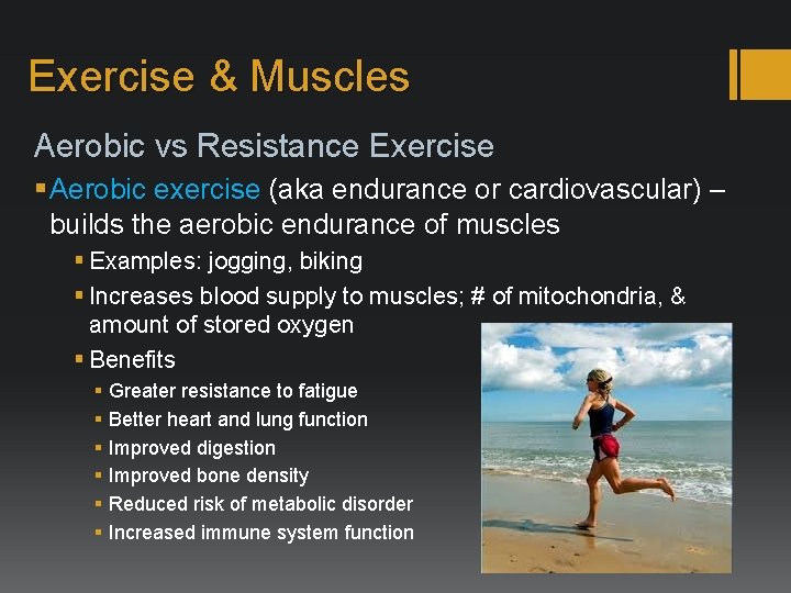 Exercise & Muscles Aerobic vs Resistance Exercise § Aerobic exercise (aka endurance or cardiovascular)