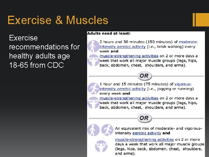 Exercise & Muscles Exercise recommendations for healthy adults age 18 -65 from CDC 