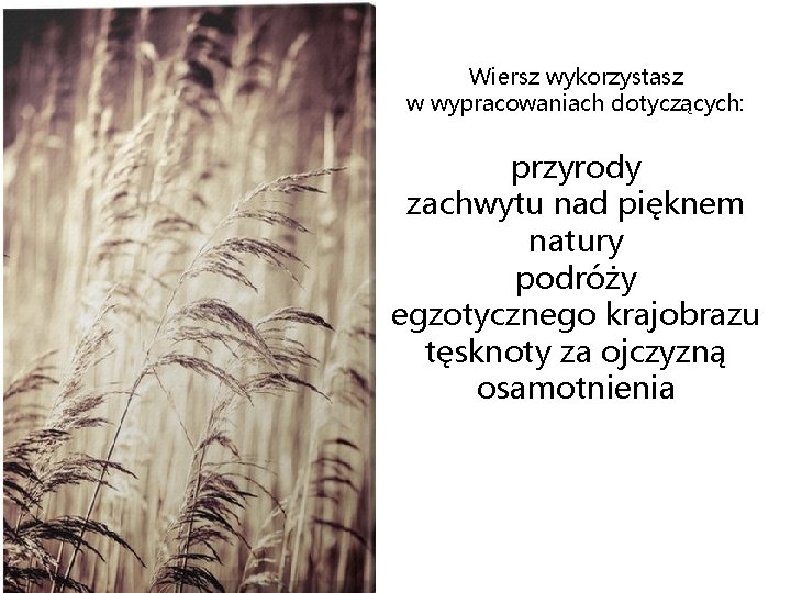 Wiersz wykorzystasz w wypracowaniach dotyczących: przyrody zachwytu nad pięknem natury podróży egzotycznego krajobrazu tęsknoty