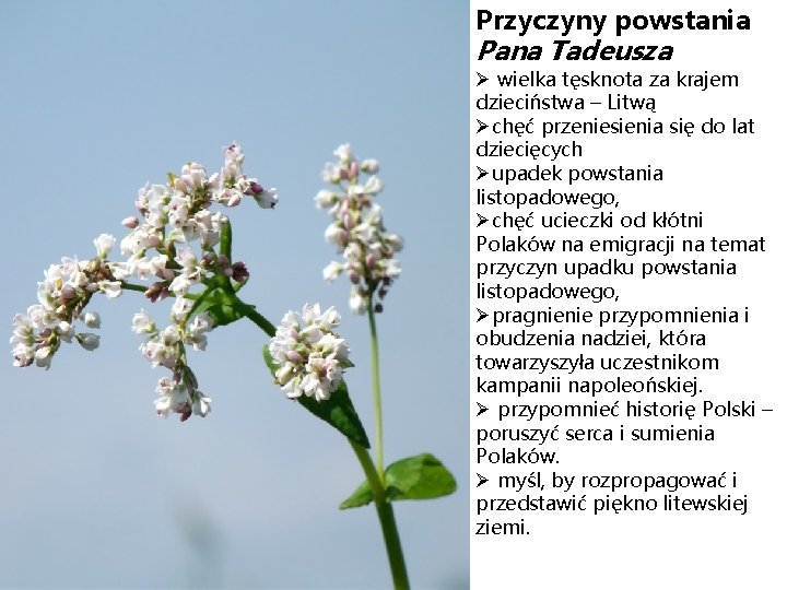 Przyczyny powstania Pana Tadeusza Ø wielka tęsknota za krajem dzieciństwa – Litwą Øchęć przeniesienia