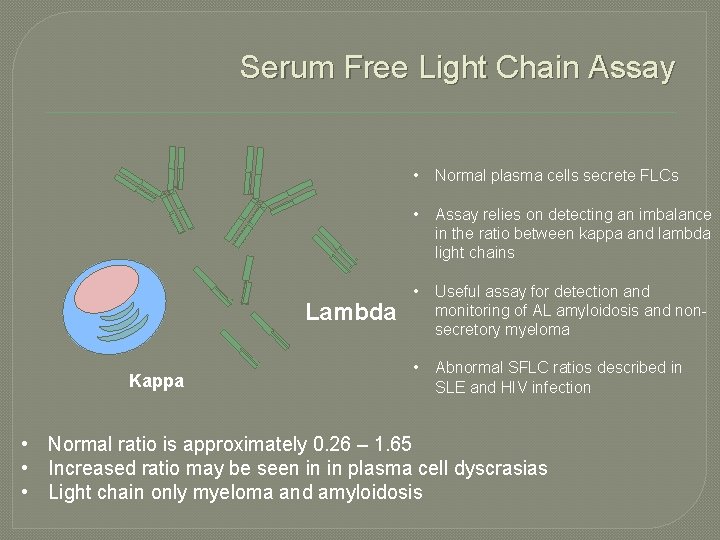 Serum Free Light Chain Assay Lambda Kappa • Normal plasma cells secrete FLCs •