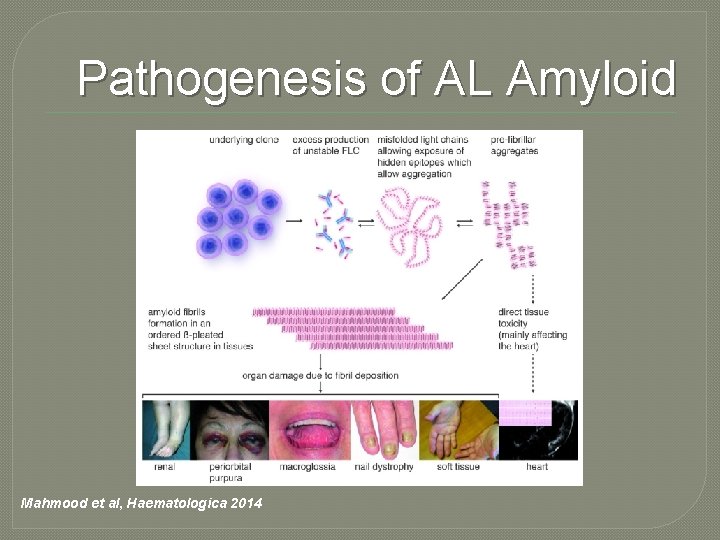 Pathogenesis of AL Amyloid Mahmood et al, Haematologica 2014 