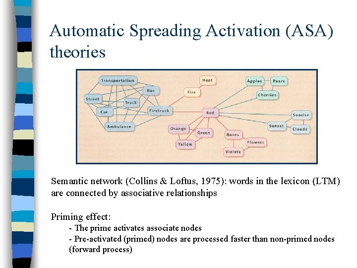 Automatic Spreading Activation (ASA) theories Semantic network (Collins & Loftus, 1975): words in the