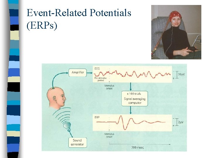 Event-Related Potentials (ERPs) 