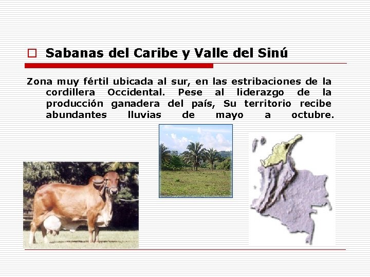 o Sabanas del Caribe y Valle del Sinú Zona muy fértil ubicada al sur,