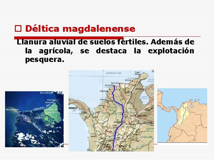 o Déltica magdalenense Llanura aluvial de suelos fértiles. Además de la agrícola, se destaca