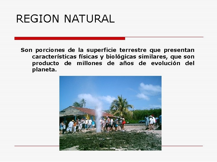 REGION NATURAL Son porciones de la superficie terrestre que presentan características físicas y biológicas