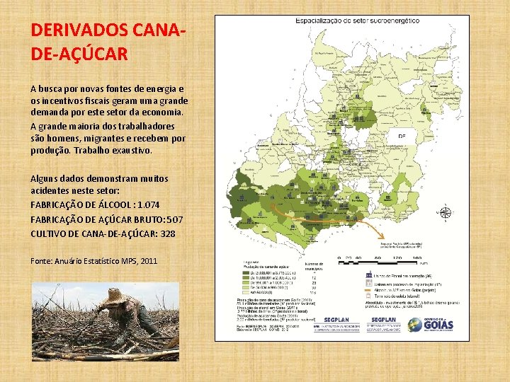 DERIVADOS CANADE-AÇÚCAR A busca por novas fontes de energia e os incentivos fiscais geram