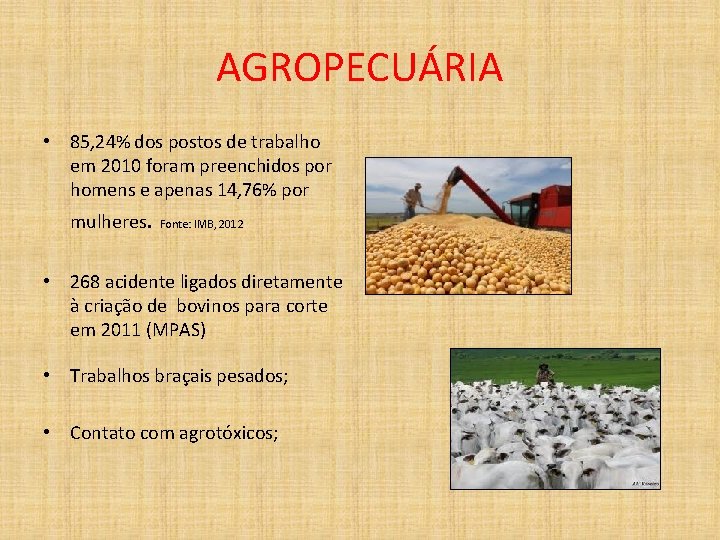 AGROPECUÁRIA • 85, 24% dos postos de trabalho em 2010 foram preenchidos por homens