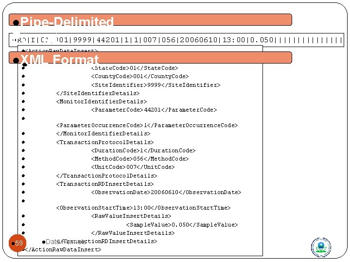 l. Pipe-Delimited l. RD|I|01|001|9999|44201|1|1|007|056|20060610|13: 00|0. 050|||||||| Format l<Action. Raw. Data. Insert> l <Site. Identifier.
