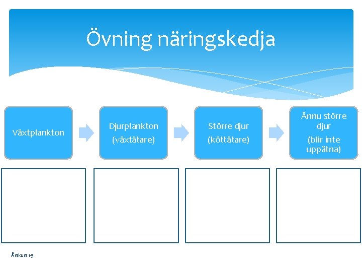 Övning näringskedja Växtplankton Årskurs 1 -3 Djurplankton Större djur (växtätare) (köttätare) Ännu större djur