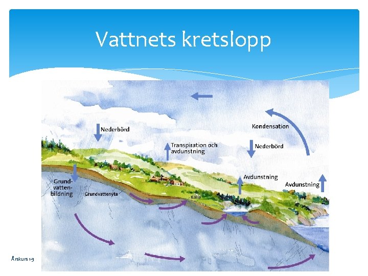 Vattnets kretslopp Årskurs 1 -3 