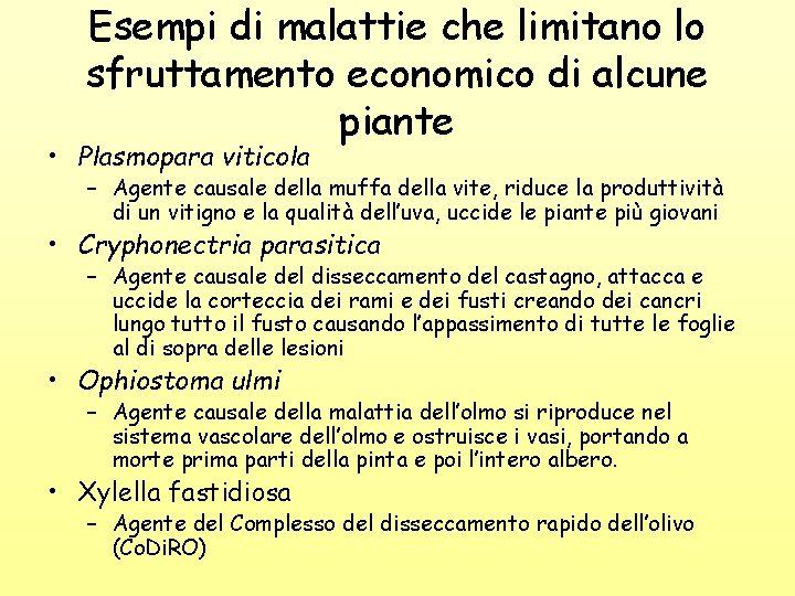 Esempi di malattie che limitano lo sfruttamento economico di alcune piante • Plasmopara viticola