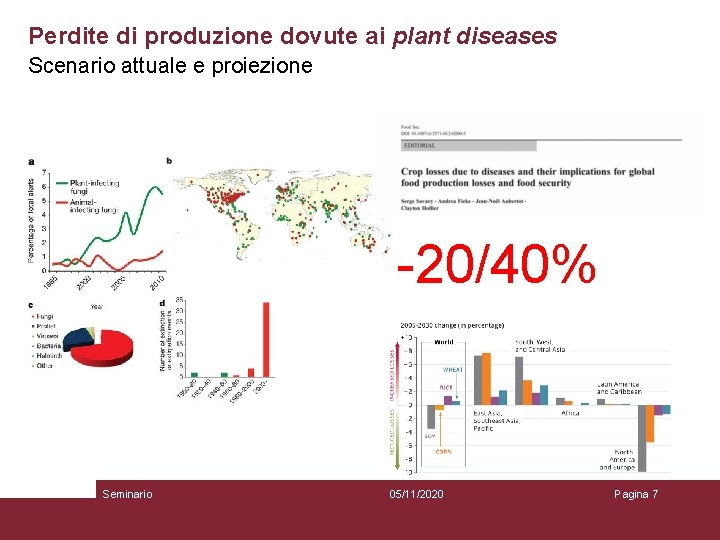 Perdite di produzione dovute ai plant diseases Scenario attuale e proiezione -20/40% Seminario 05/11/2020