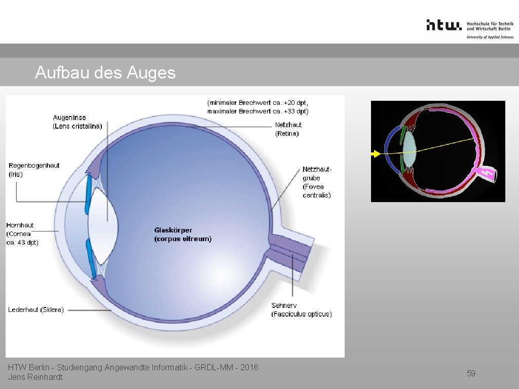 Aufbau des Auges HTW Berlin - Studiengang Angewandte Informatik - GRDL-MM - 2016 Jens