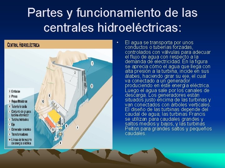 Partes y funcionamiento de las centrales hidroeléctricas: • El agua se transporta por unos