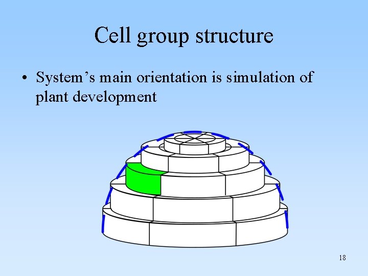 Cell group structure • System’s main orientation is simulation of plant development 18 