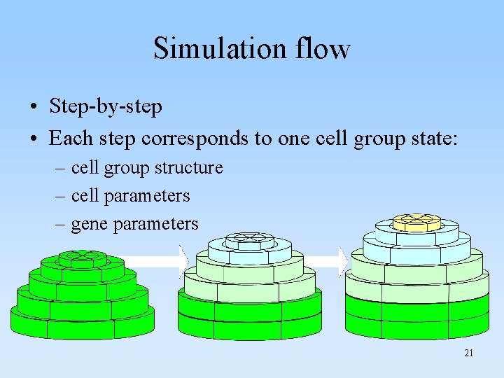 Simulation flow • Step-by-step • Each step corresponds to one cell group state: –