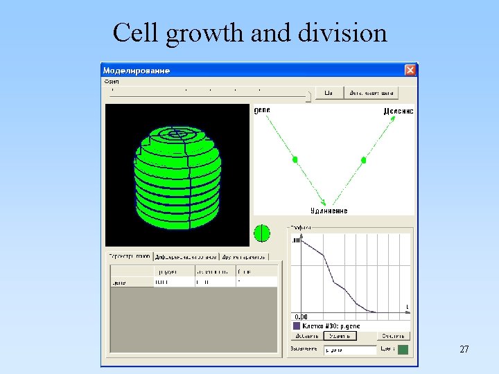 Cell growth and division 27 