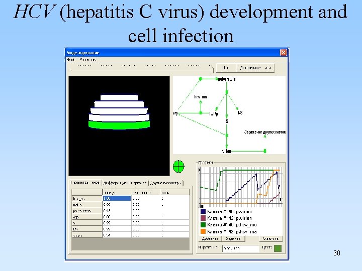 HCV (hepatitis C virus) development and cell infection 30 
