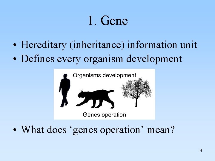 1. Gene • Hereditary (inheritance) information unit • Defines every organism development • What