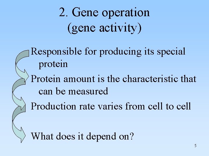 2. Gene operation (gene activity) Responsible for producing its special protein Protein amount is