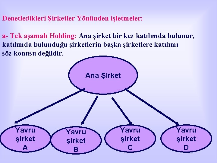 Denetledikleri Şirketler Yönünden işletmeler: a- Tek aşamalı Holding: Ana şirket bir kez katılımda bulunur,