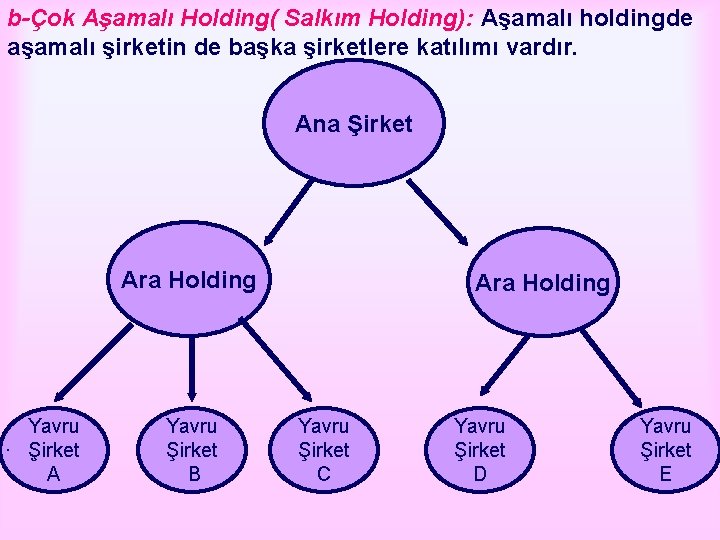 b-Çok Aşamalı Holding( Salkım Holding): Aşamalı holdingde aşamalı şirketin de başka şirketlere katılımı vardır.