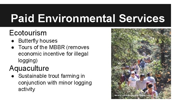 Paid Environmental Services Ecotourism ● Butterfly houses ● Tours of the MBBR (removes economic