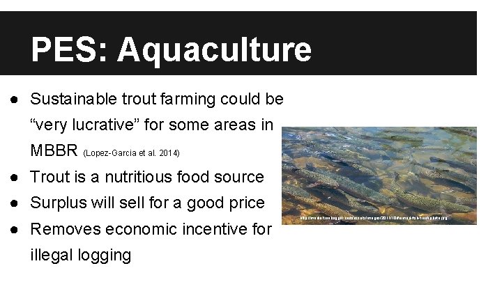 PES: Aquaculture ● Sustainable trout farming could be “very lucrative” for some areas in