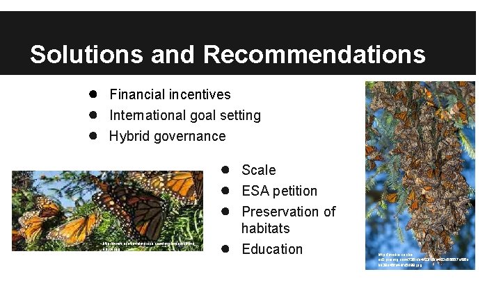 Solutions and Recommendations ● ● ● Financial incentives International goal setting Hybrid governance ●