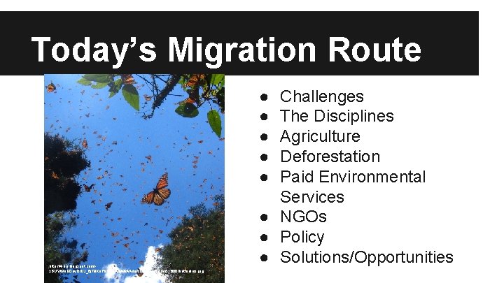 Today’s Migration Route ● ● ● http: //4. bp. blogspot. com/x. BUVWeb. Qoy. Q/UJ_6