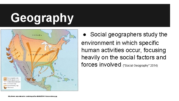 Geography ● Social geographers study the environment in which specific human activities occur, focusing