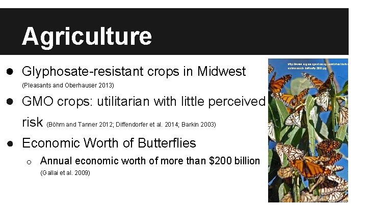 Agriculture ● Glyphosate-resistant crops in Midwest (Pleasants and Oberhauser 2013) ● GMO crops: utilitarian