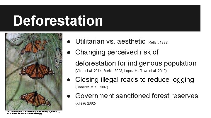 Deforestation ● Utilitarian vs. aesthetic (Kellert 1993) ● Changing perceived risk of deforestation for