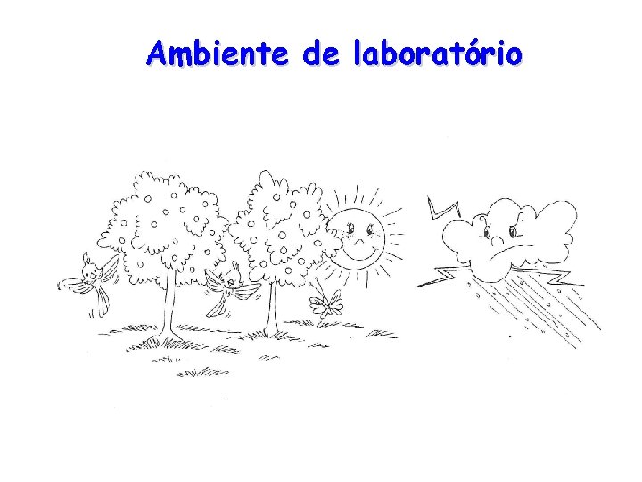 Ambiente de laboratório 