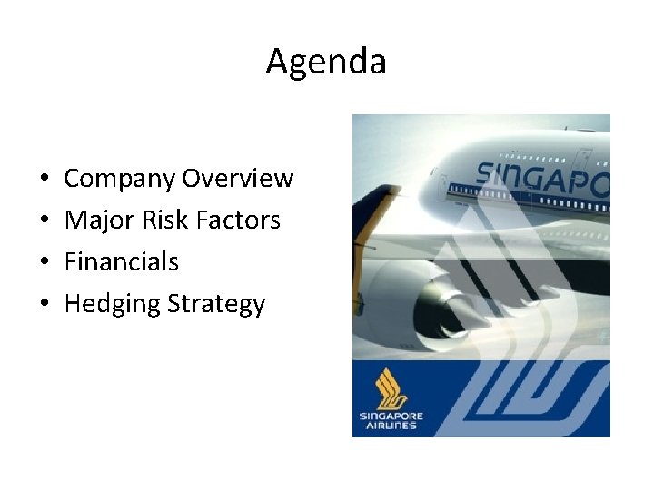 Agenda • • Company Overview Major Risk Factors Financials Hedging Strategy 