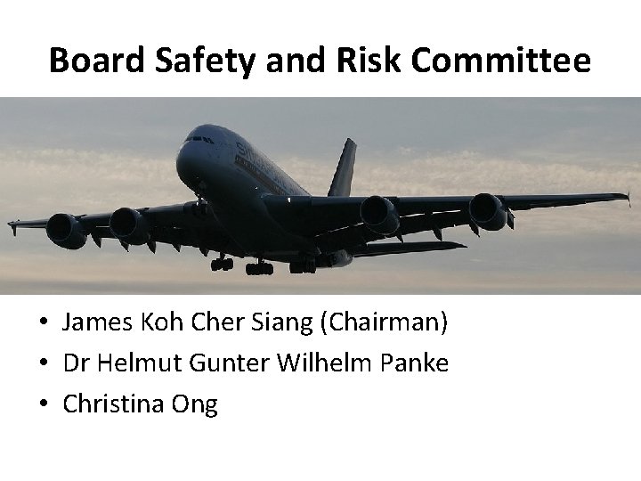 Board Safety and Risk Committee • James Koh Cher Siang (Chairman) • Dr Helmut