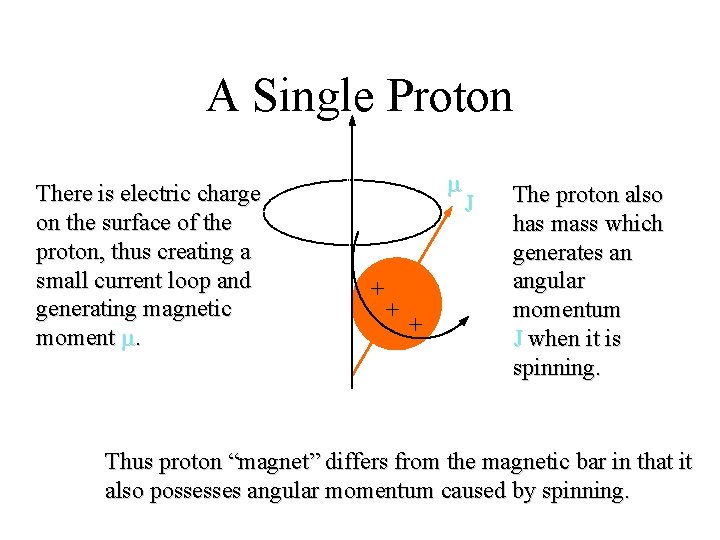 A Single Proton There is electric charge on the surface of the proton, thus