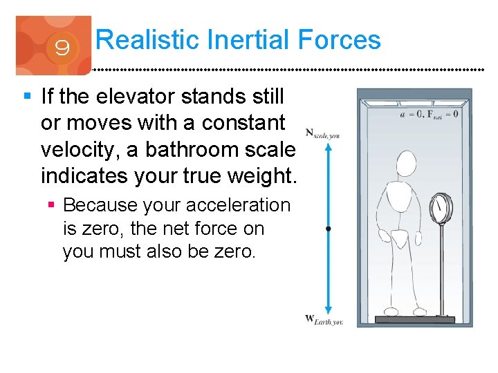 Realistic Inertial Forces § If the elevator stands still or moves with a constant