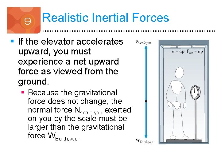 Realistic Inertial Forces § If the elevator accelerates upward, you must experience a net