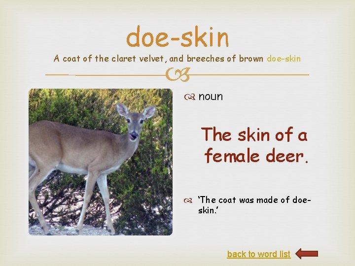 doe-skin A coat of the claret velvet, and breeches of brown doe-skin noun The