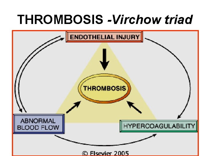 THROMBOSIS -Virchow triad 